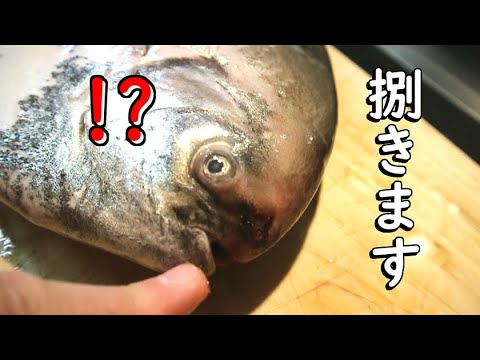 マナガツオを捌いて1品作りました【料理】