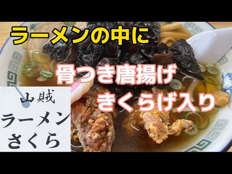 【佐野市】山賊ラーメンさくら💚山賊ラーメンはまさかの骨付きチキンときくらげ入り🤪✌️パンチ系のラーメン🍜うめ〜🙄餃子も🥟めっちゃ大きくて佐野餃子って感じ😍💓2020.12で中は綺麗👏