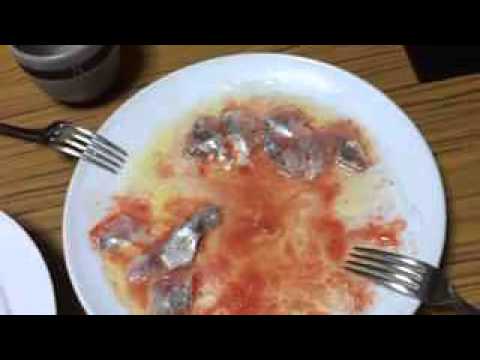 和歌山アジのトマトすりつぶしカルパッチョ＆ハツのバルサミコソテー【胃袋バイブレーション食堂】 【トモファームあゆみ野菜】