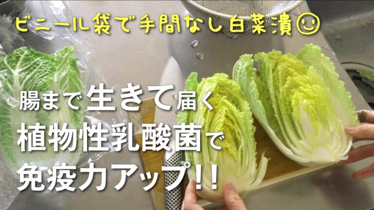 免疫力アップ！冬の定番白菜漬。腸まで生きて届く植物性乳酸菌。
