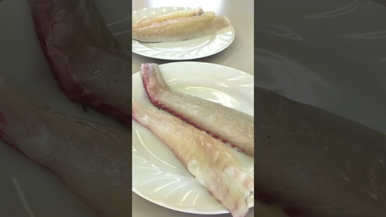 超簡単おいしいタイピザロールの作り方　春巻きの皮でまく！真鯛のおいしい食べ方 #shorts