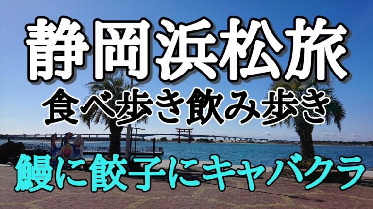 浜松グルメ、浜名湖うなぎ、浜松餃子、浜松飲み歩きの旅