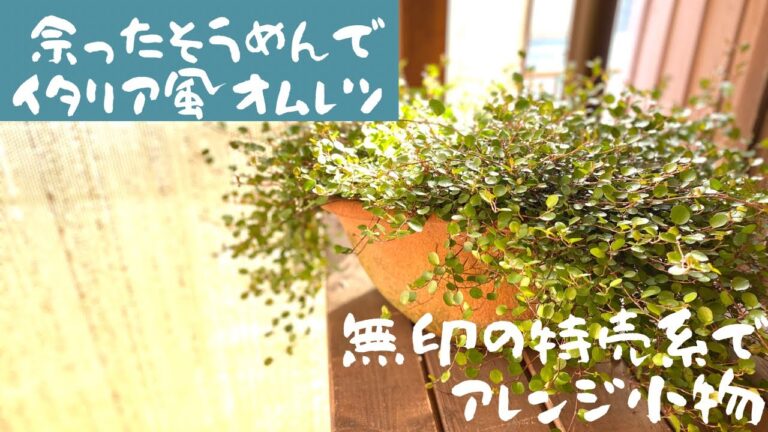 余ったそうめんでフリタータ/炊飯器でローストビーフ/ケールのサラダ/無印の糸で小物