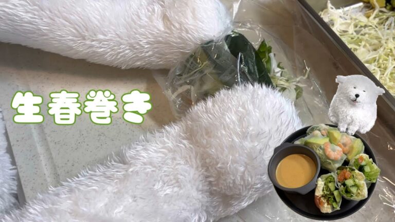 【Boss Cooking】2種類のヘルシー生春巻き｜Fresh spring roll