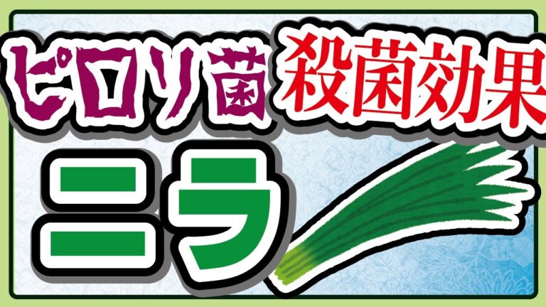 香り成分のニラの栄養成分、効果を解説「疲労回復、ピロリ菌抑制」