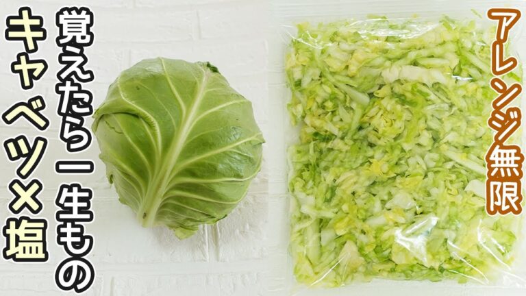 超万能「塩キャベツ」甘く柔らかい春キャベツで便利な作り置き・塩キャベツでゴマ和え・ナムル・サラダ・餃子作り方・常備菜・時短レシピ