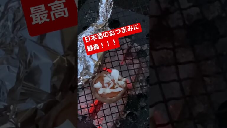 イカのホイル焼きと椎茸の味噌焼き⇨詳細は本編へ▶️