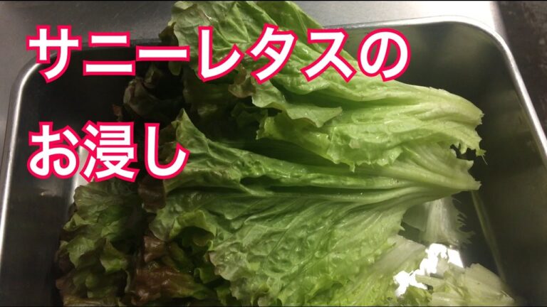 サニーレタスのお浸し　作り方　美味すぎ！