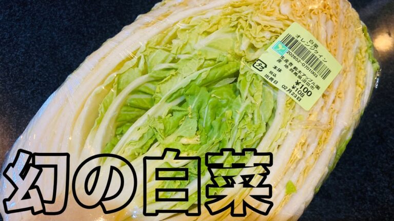 無限白菜【超かんたん】オレンジ