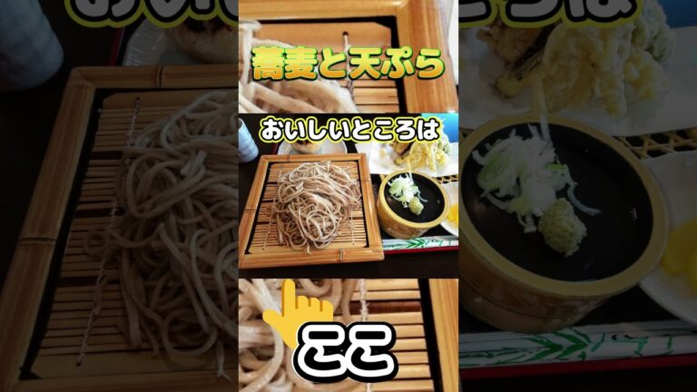 お勧め蕎麦と天ぷらはここ　＃蕎麦＃天ぷら＃いわき市＃いわきランチ＃Tempura＃튀김＃Japan＃short