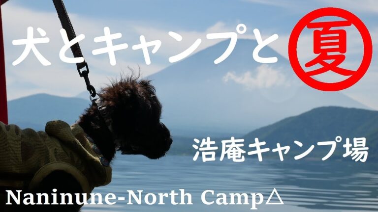 【浩庵キャンプ場】愛犬と一緒に本栖湖で夏キャンプ。富士山と夏の水遊び。キャンプ飯はジャンバラヤとホットドッグ NORDISK/MIDGARD9.2/KARI12