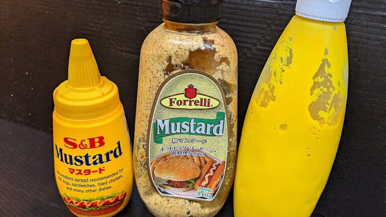 辛子を柔らかく炒めた茄子に絡めてたべるとヤバいです！#Shorts