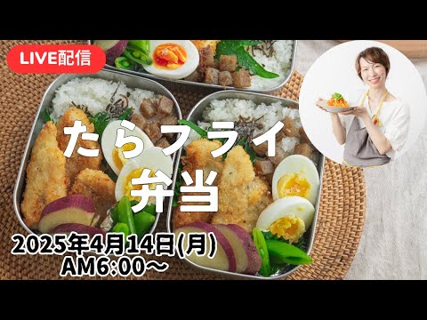 【4月14日朝 LIVE】お祝いコメントありがとう🤰💕鱈フライ弁当、Fried cod lunch box