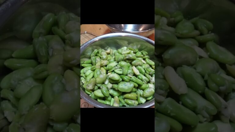 【そら豆】手作り豆板醤