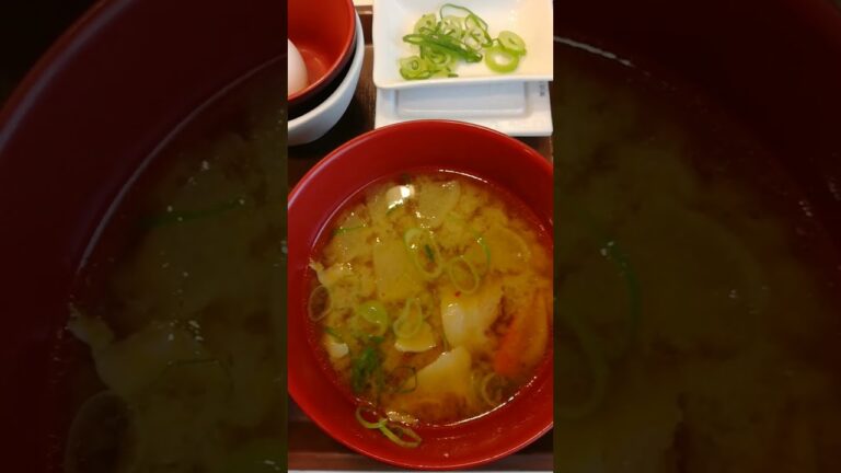 すき家の牛豚汁定食旨い😋