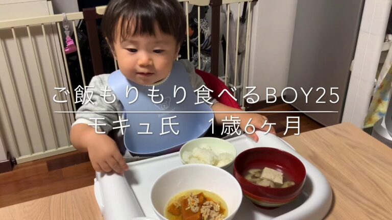 【1歳6ヶ月】ご飯もりもり食べるboyはレバーももりもり食べます25