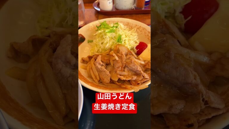 山田うどん食堂　生姜焼き定食　美味しいねー / Pork ginger with rice at Yamada Udon for a lunch.