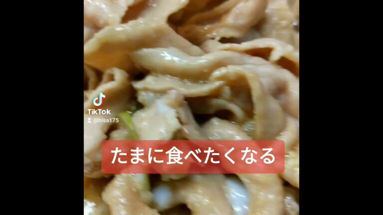 男のすた丼
