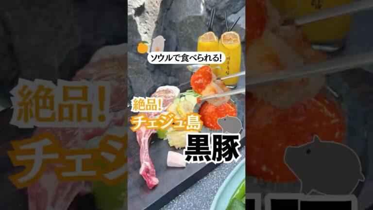 ソウルで食べられる絶対チェジュの黒豚！#pr #제주옥탑 #黒豚 #韓国黒豚 #サムギョプサル #サムギョプサル専門店#韓国グルメ #ソウルグルメ #韓国旅行 #ソウル旅行 #韓国情報 #shorts
