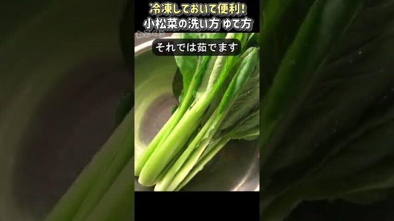 【基本の】小松菜の洗い方 ゆで方 #shorts