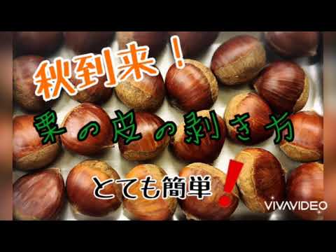 【秋の定番！栗の皮の剥き方】新潟県見附市の結婚式場｜YouTuber｜ザ・ガーデンプレイス小林樓(作ってみた、長岡市、新潟県結婚式場)