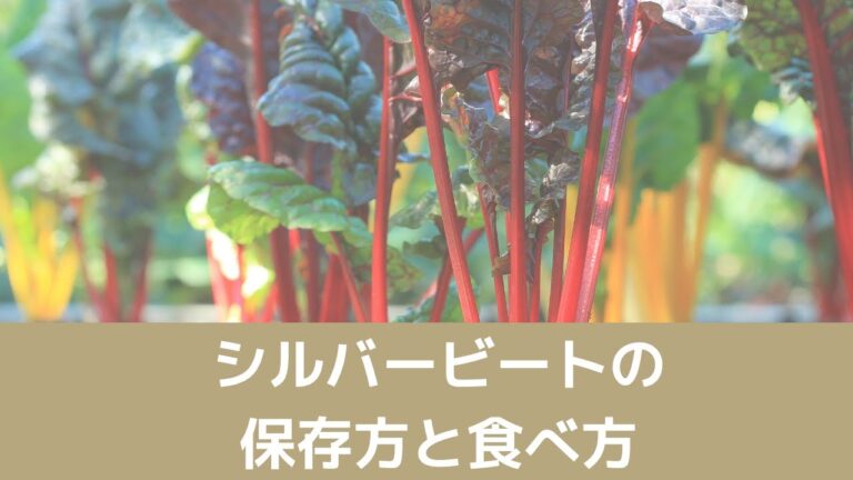 【ありのまま KITCHEN シルバービートの保存方と食べ方が知りたい！？】