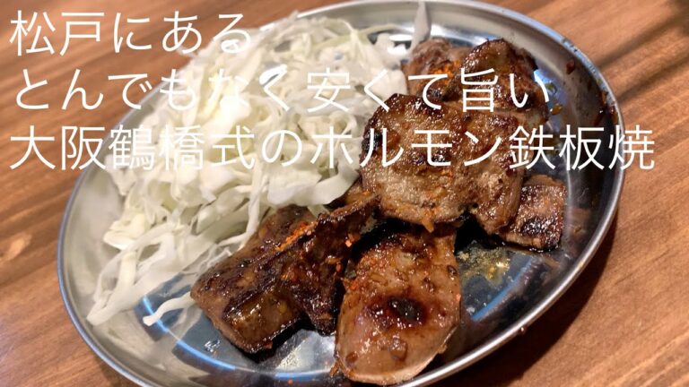 松戸にある とんでもなく安くて旨い 大阪鶴橋式のホルモン鉄板焼 @gotono-bkyugurumetabi