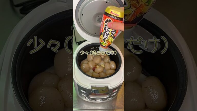 圧力鍋を購入するはずが炊飯器を買ってしまったので「こんにゃくと大根のピリ辛煮」を作りました【cooking】【ASMR】  #みっちょす  #mitchoos #炊飯器レシピ