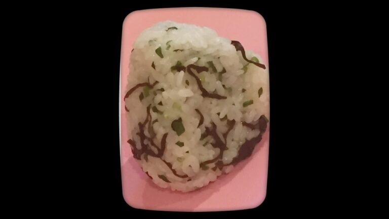 ネギ塩昆布おにぎり! ♯お弁当♯Japanese obento recipes