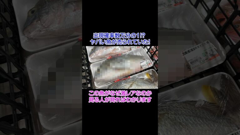 出現確率数万分の1！？ヤバい魚が売られていた！#shorts
