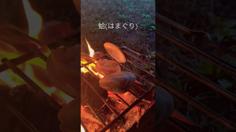 蛤美味すぎる　#蛤 #はまぐり #ハマグリ #海鮮焼き