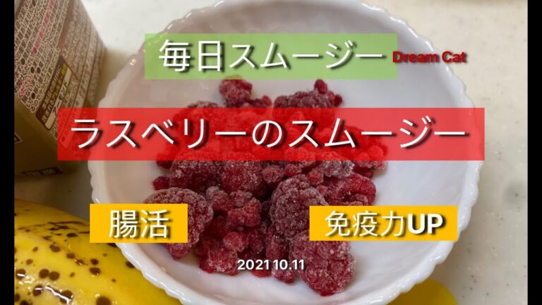 スムージー スペシャリストDream Catのスムージー 2021 10.11