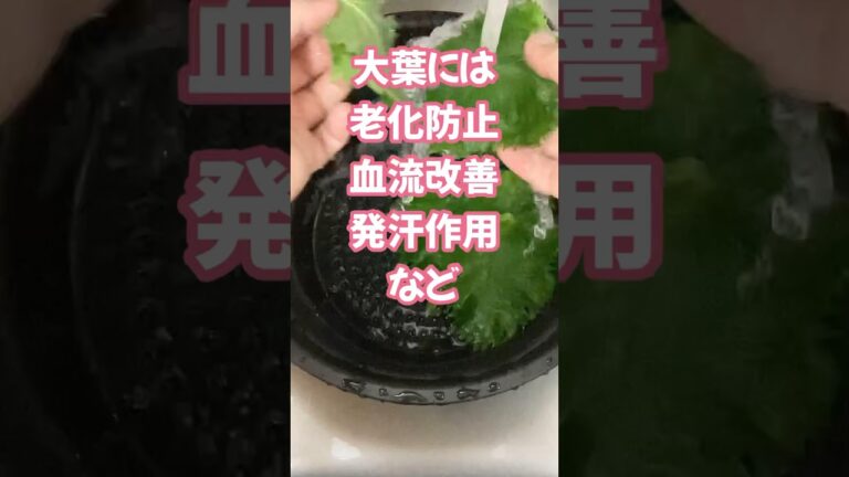 健康、美容成分たっぷりの青紫蘇ジュースの作り方#shorts