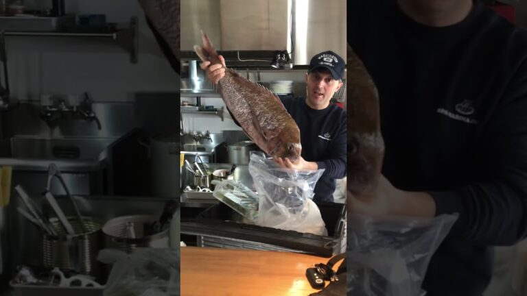 新鮮な大きい真鯛