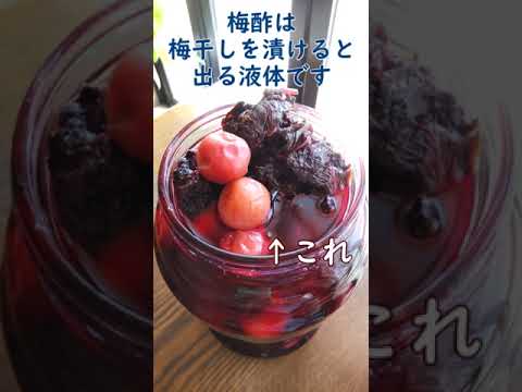 酵素：生姜酵素　紅生姜　#Short　体が喜ぶ発酵料理教室