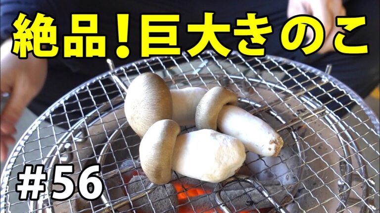 【肉厚注意】七輪で巨大キノコ焼いたらジューシーさ大爆発 #56