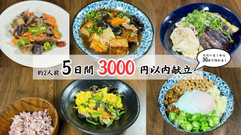 【30分で作れる！】予算3000円！2人分平日5日間の晩ごはん