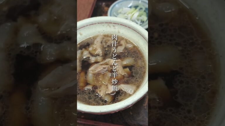 【激ウマ】手打ちうどん小山屋の肉汁うどんと半炒飯が最高すぎる【埼玉】 #手打ちうどん #武蔵野うどん #肉汁うどん #半炒飯 #大宮 #さいたま市 #小山屋 #名店 #なす汁うどん #孤独のグルメ