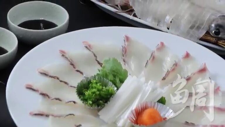 鯛しゃぶ編 （唐津おさかな村バイキング）