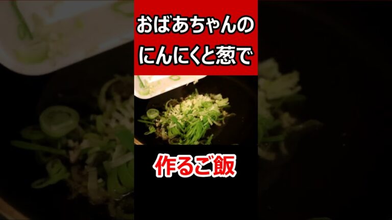 実家のおばあちゃんが作った葱とにんにくで作る【ネギ油と焦がしにんにくのチャーハン】
