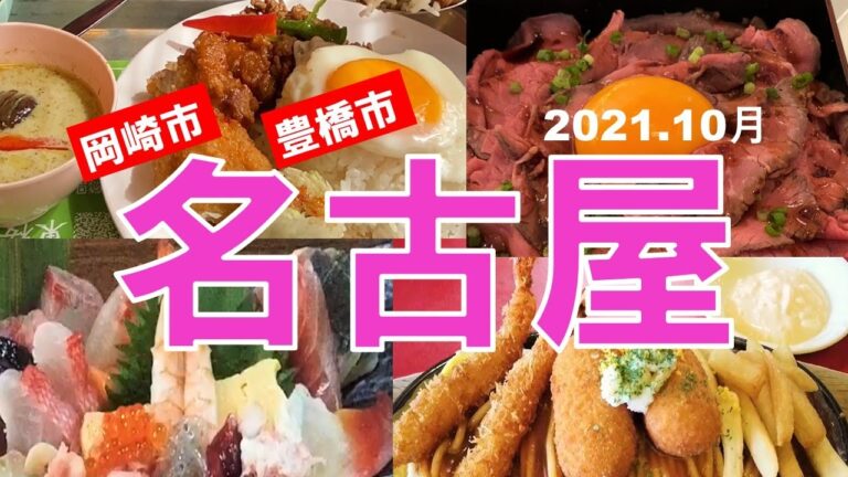 名古屋おすすめグルメ4店 刺身定食でなく海鮮丼1,450円！ 岡崎豊橋人気店も行ってみてちょ