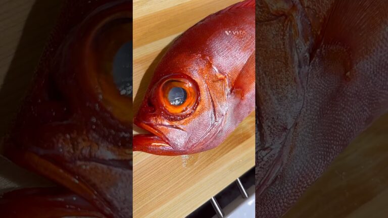 【超簡単】金目鯛の煮付け #魚 #魚料理 #煮付け