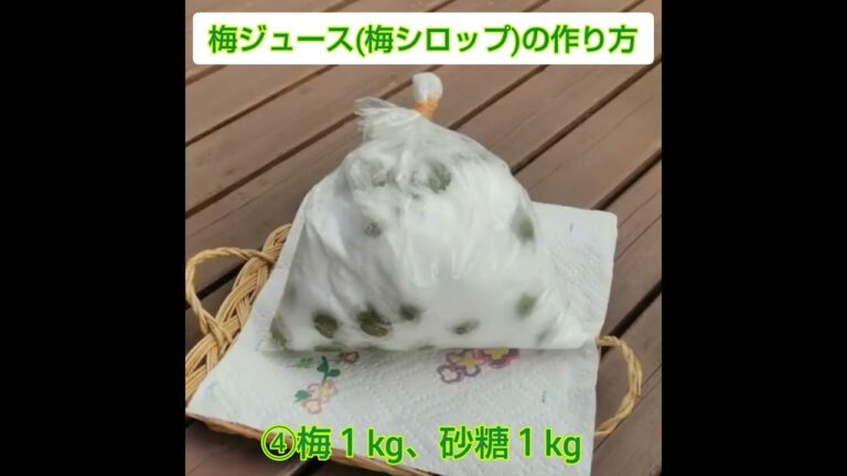 今が旬！簡単にできる梅ジュースの作り方