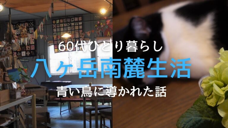 【八ヶ岳南麓６０代一人暮らし】#49  森の道で青い鳥(オオルリ)に導かれた話/散歩日和・オオムラサキ自然公園/魔法の夕日/仁田平マルシェ/我が家の猫たち/移住暮らし/田舎暮らし／シニアライフ