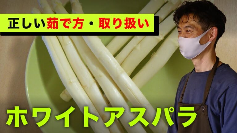 美味いホワイトアスパラの茹で方と定番のレシピ
