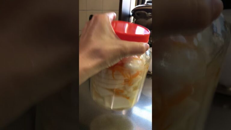 大根のサワー漬け(概要欄に材料と作り方があります)