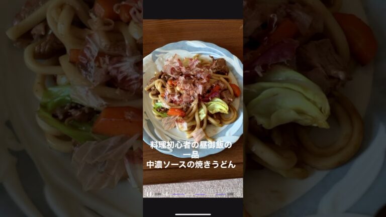 料理初心者の昼御飯の一品 中濃ソースの焼きうどん