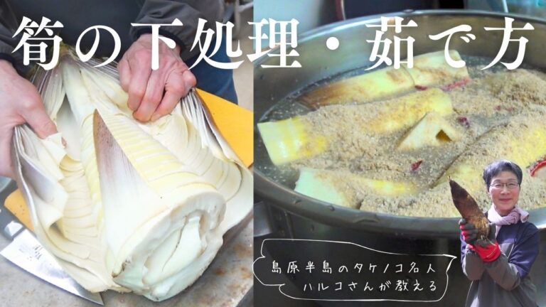 【たけのこの下処理・あく抜き・茹で方】島原半島タケノコ名人が教える｜筍の掘り方から茹で方まで｜茹でたて筍で作る木の芽和え
