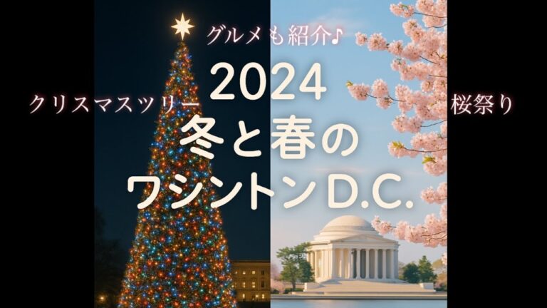 【ワシントンD.C.2024】本場アメリカのクリスマスツリーに家族で感動した夜✨２０２４年桜祭りの様子やお勧めレストラン紹介！