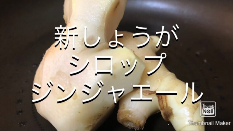 【新しょうが】しょうがシロップジンジャエール